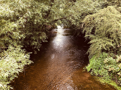 River Roding, Chigwell