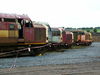 DSCF2824.JPG