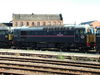 33103_DBY_1.JPG