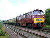 D1015_HIG_20070623.JPG