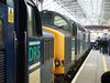 dscf1184.jpg