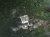 Filename=IMG_1384.JPG
Filesize=1069KiB
Dimensions=2592x1936
Date added=Jul 01, 2012 IMG_1384.JPG