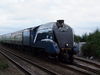 Filename=4464_HIG_20120819.JPG
Filesize=1446KiB
Dimensions=2816x2112
Date added=Aug 20, 2012 4464_HIG_20120819.JPG
