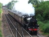 Filename=45407_WOR_20140706.JPG
Filesize=860KiB
Dimensions=2048x1536
Date added=Jul 06, 2014 45407_WOR_20140706.JPG