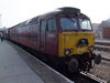 Filename=DSCF2047.JPG
Filesize=1477KiB
Dimensions=2816x2112
Date added=Mar 27, 2011 DSCF2047.JPG