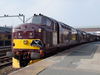 Filename=DSCF2050.JPG
Filesize=1457KiB
Dimensions=2816x2112
Date added=Mar 27, 2011 DSCF2050.JPG