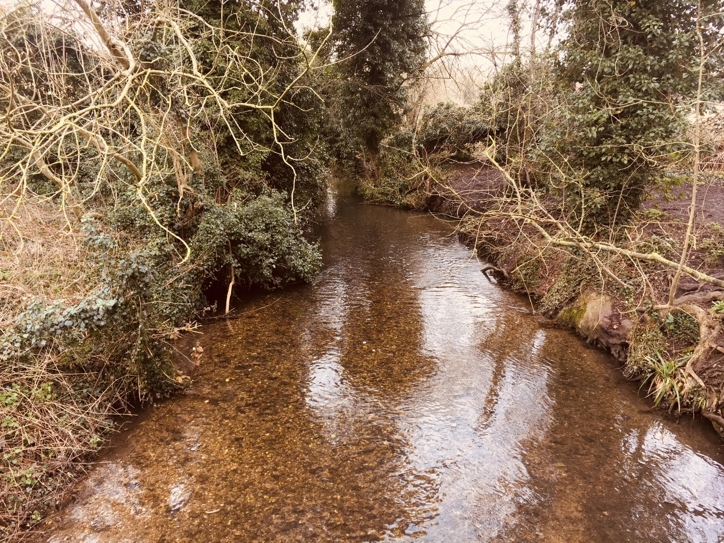 Abstract artwork for The River Cray: A Perambulation of Kent