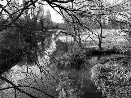 Confluence of the River Cray and River Shuttle