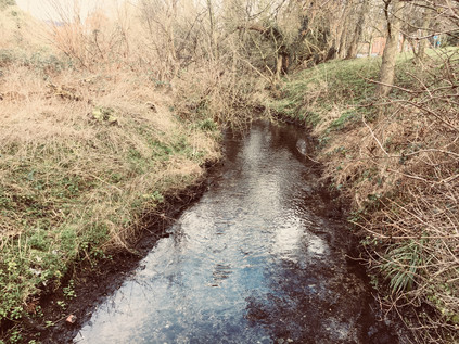 The fledgling Cray, near Orpington