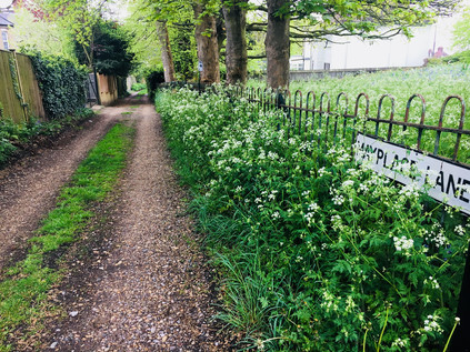 Mayplace Lane, Shooter