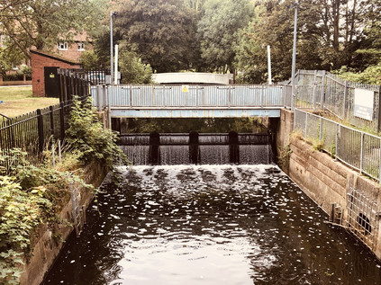 Mereway Sluice, River Crane