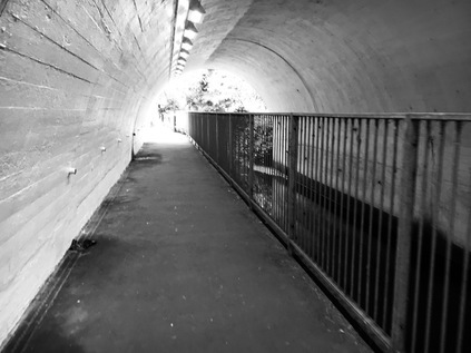 Passing under the North Circular, alongside the Mutton Brook