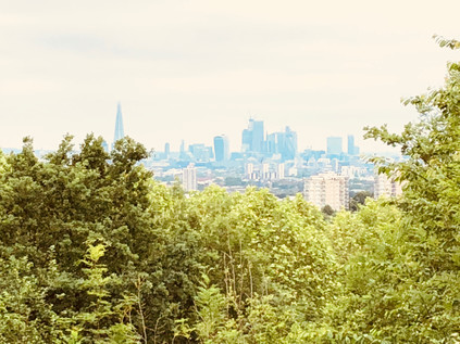 The view from One Tree Hill