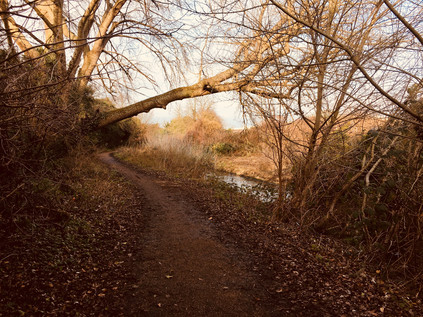 River Wandle, near Poulter Park