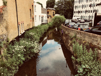 The Quaggy River