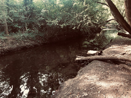 River Crane, North Hyde