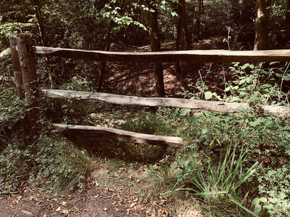 Dry Valley, Debden Brook