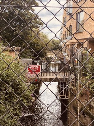 The Mouth of the River Crane