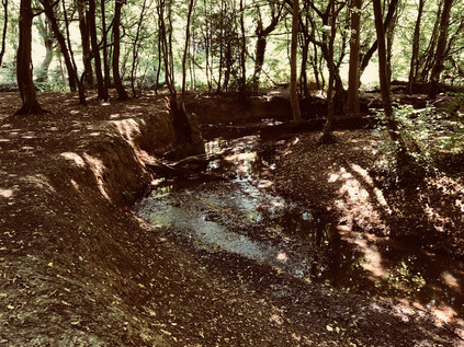 Turkey Brook, Hilly Fields Park