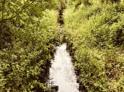 The Ravensbourne, Haynes Park